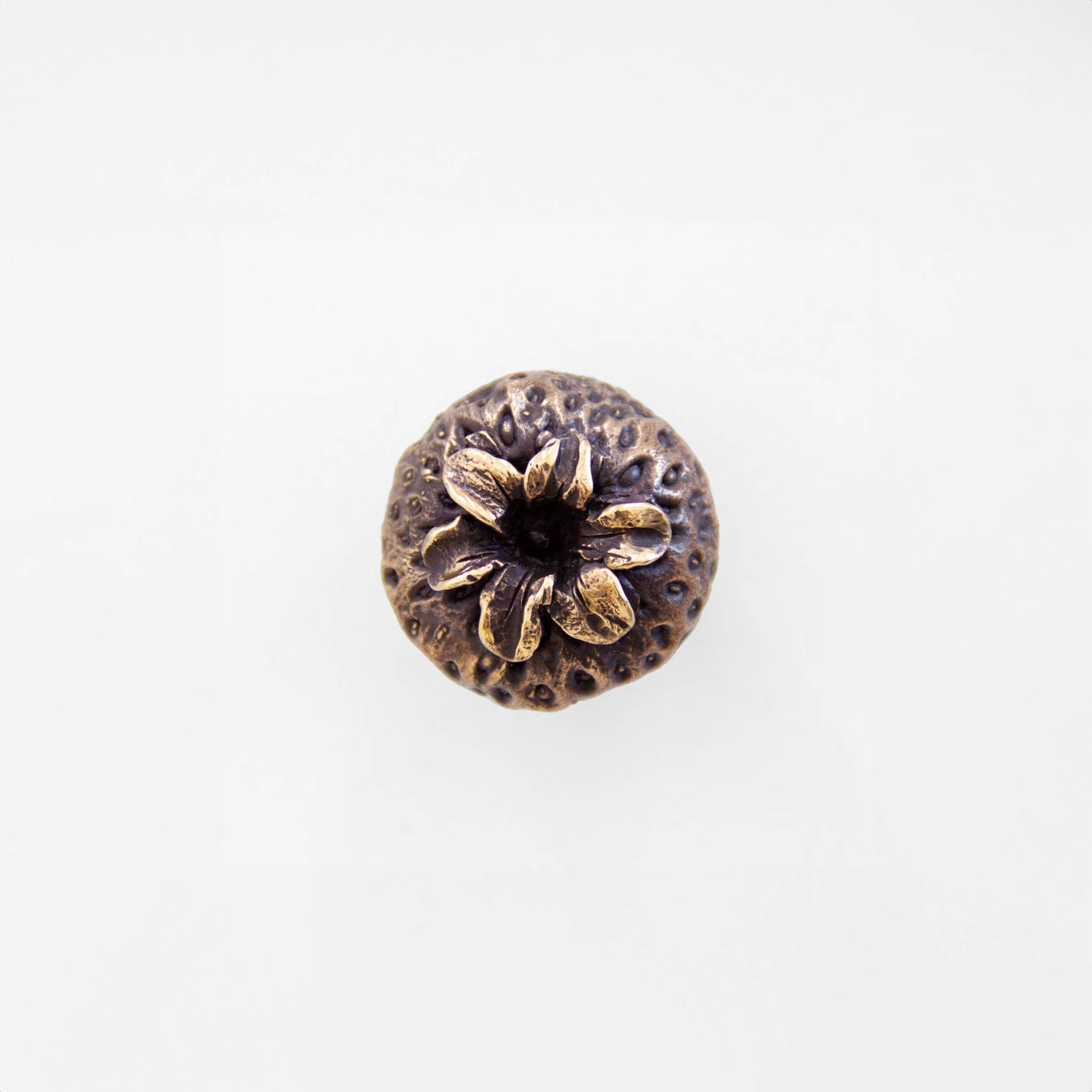 Strawberry Drawer Pull