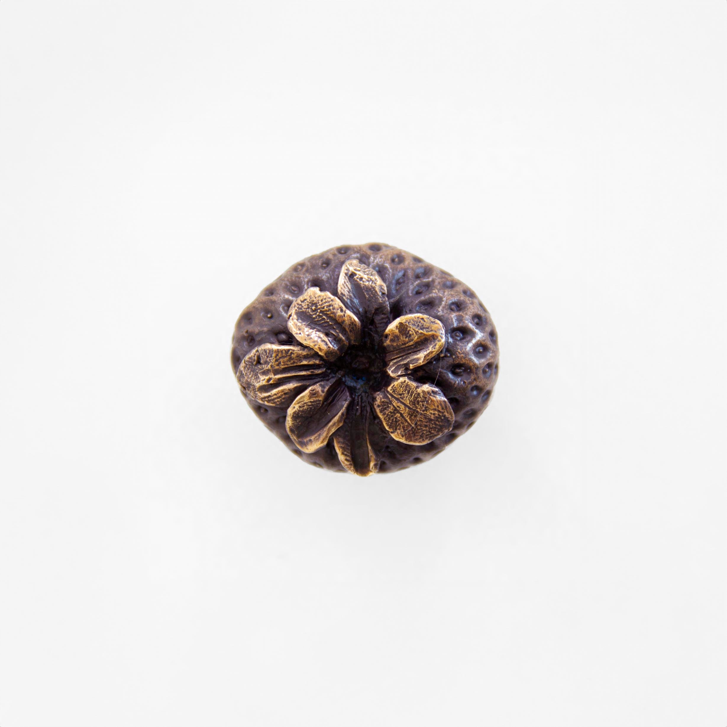 Strawberry Drawer Pull